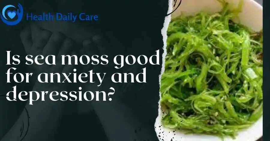 Is sea moss good for anxiety and depression